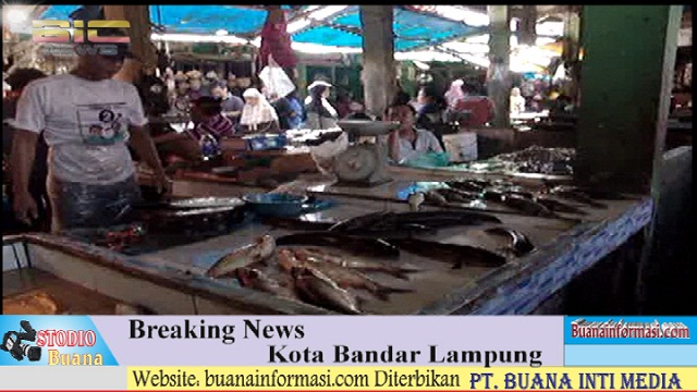 Cuaca Buruk Berimbas Pada Harga Ikan Laut