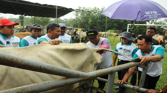Wakil Bupati Saksikan Pelayanan Kesehatan Ternak