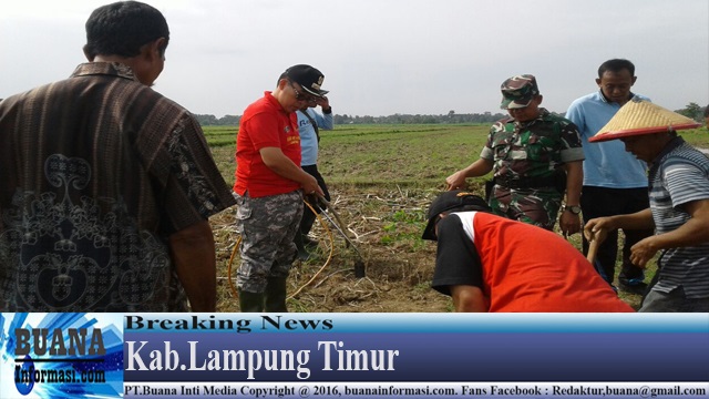 Zaiful: Pemerintah Lamtim Berupaya Stabilkan Harga Singkong