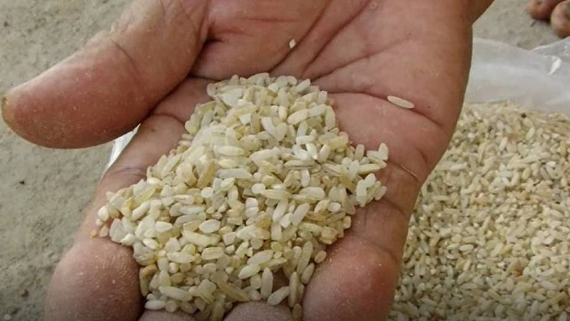 Warga Keluhkan Distribusi Bulog Beras Tak Layak Konsumsi