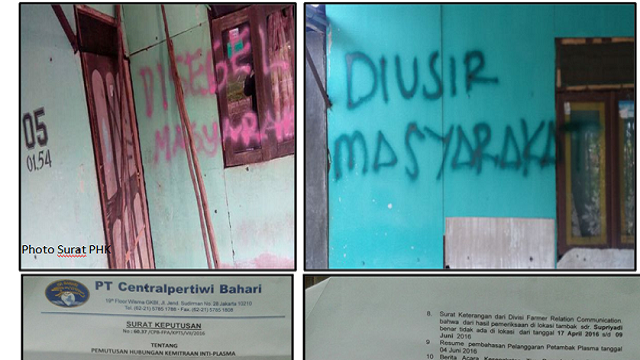 Kronologi Retaknya Hubungan Pt Central Pertiwi Bahari  Dengan  Petambak Plasma Di Bratasena
