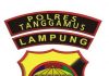 Polres Tanggamus Ungkap Penipuan Yang Mengatasnamakan Calon Wakil Bupati