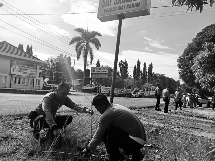 WhatsApp-Image-2019-01-11-at-09.52.47-2-1024x768