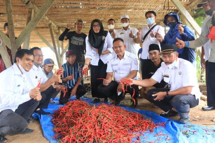 fe86fb62-d901-4f6d-b648-bf2ff65caed0