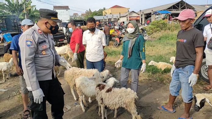 7aa56c57-35f4-40df-ac0f-03306257df59