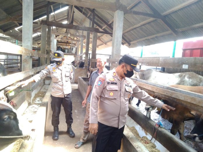 4e722386-4813-4777-b53b-9ac623525832