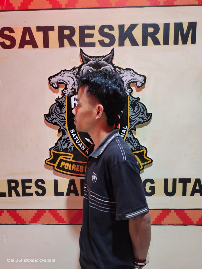 e6e3cf0f-e172-4b13-b1ce-3eba2742488e