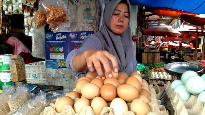 meski-harga-naik-pemkot-jamin-stok-telur-di-bandar-lampung-cukup