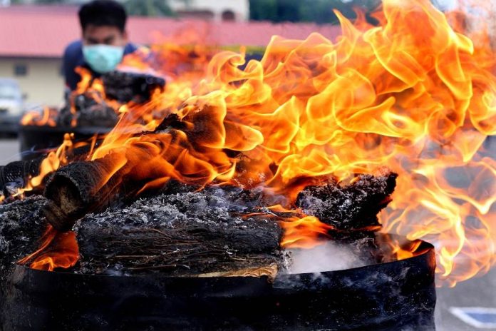 Anggota muspida Plus memusnahkan barang bukti ganja dengan cara dibakar saat berlangsung pemusnahan narkotika di Mapolres Lhokseumawe, Aceh, Senin (22/5).