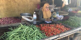Harga Cabai Di Pesawaran Lampung Turun Jadi Rp 26 Ribu Per Kg