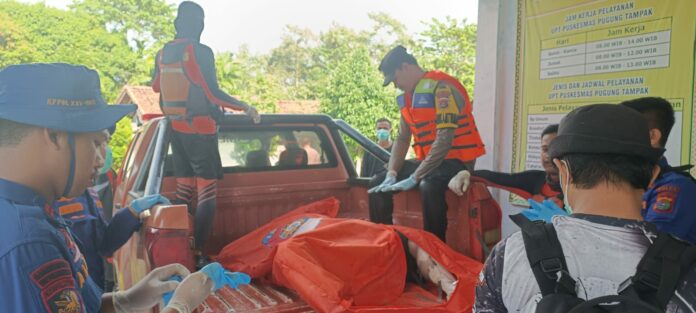 d04ae1bfd4c9934e5a41bbc7eab6ff64