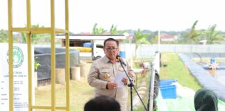 Gubernur Arinal Panen Perdana Udang Vaname Air Tawar, Di PKK Agropark Lampung