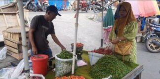 Harga Cabai Dipasar Kopindo Metro Kembali Mengalami Kenaikan