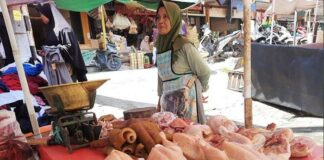 Harga Ayam Potong Dipasar Kopindo Metro Sampai 35 Ribu Perekor Nya