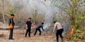 Marak Kebakaran Lahan, Polisi Lakukan Penyelidikan