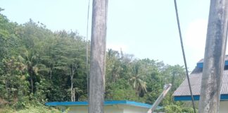 Bapak, Anak Dan Menantu Terlibat Kasus Pencurian Kabel Listrik Di Pringsewu