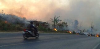 Kebakaran Lahan Terjadi Di Jl Raden Gunawan