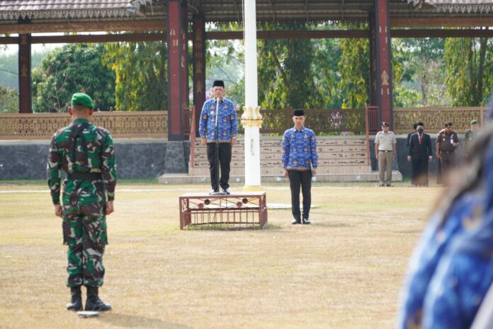 WhatsApp Image 2023-10-02 at 17.01.26