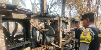 Kandang Ayam Di Pekon Pandasari Selatan Hangus Terbakar, Kerugian Mencapai Rp. 350 Juta