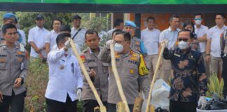 Polda Lampung Musnahkan Barang Bukti Ratusan Kilo Narkotika