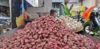 Harga Bawang Merah Bawang Putih Mengalami Penurunan Di Sejumlah Pasar Pesisir Barat