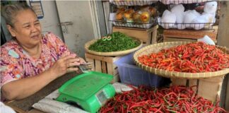 Warga Bandar Lampung Mengeluh Dengan Tinggi Nya Harga Cabai Hingga 90 Ribu Perkilogram