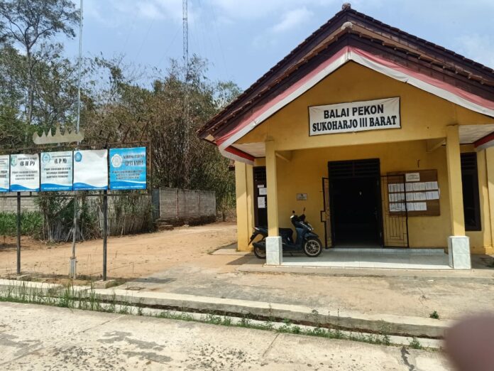 WhatsApp Image 2023-11-18 at 16.13.51