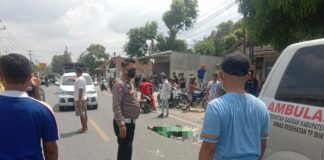 Polisi Masih Selidiki Insiden Kecelakaan Yang Tewaskan Satu Pemotor Di Pringsewu