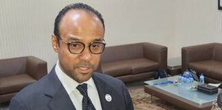 Uni Emirat Arab Siap Gelar COP28 di Dubai