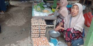 Harga Telur Di Sejumlah Pasar Di Kab. Mesuji Mengalami Kenaikan Hingga 30 Ribu perkilogram
