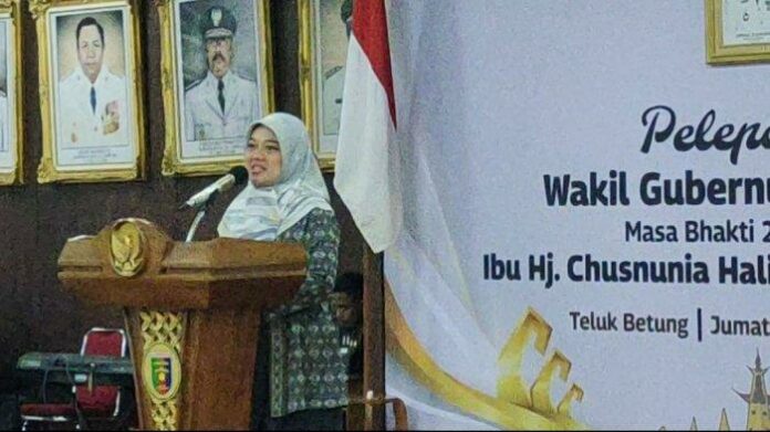 kesempatan-untuk-menjabat-sebagai-wakil-gubernur-Lampung