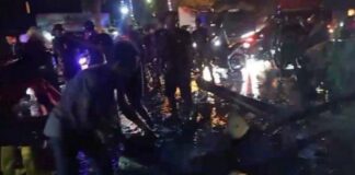 Akibat Pohon Tumbang Di Tanggamus, Arus Lalulintas Menjadi Terhambat