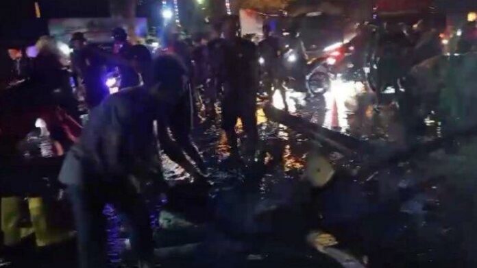 pohon-tumbang-di-kota-agung-tanggamus