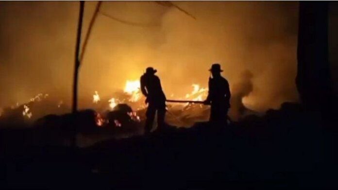 Kebakaran-lahan-terjadi-di-Kecamatan-Terbanggi-Besar-Lampung-Tengah-akibat-putung-rokok