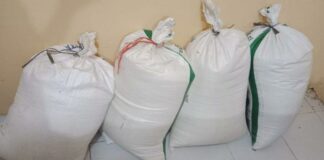 Polsek Bengkunat Amankan Dua Pelaku Pencuri Gabah Dan Beras Di Pekon Sumber Agung