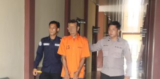 Cabuli Anak Usia 5 Tahun, Pria Paruh Baya Asal Pringsewu Diatngkap Polisi