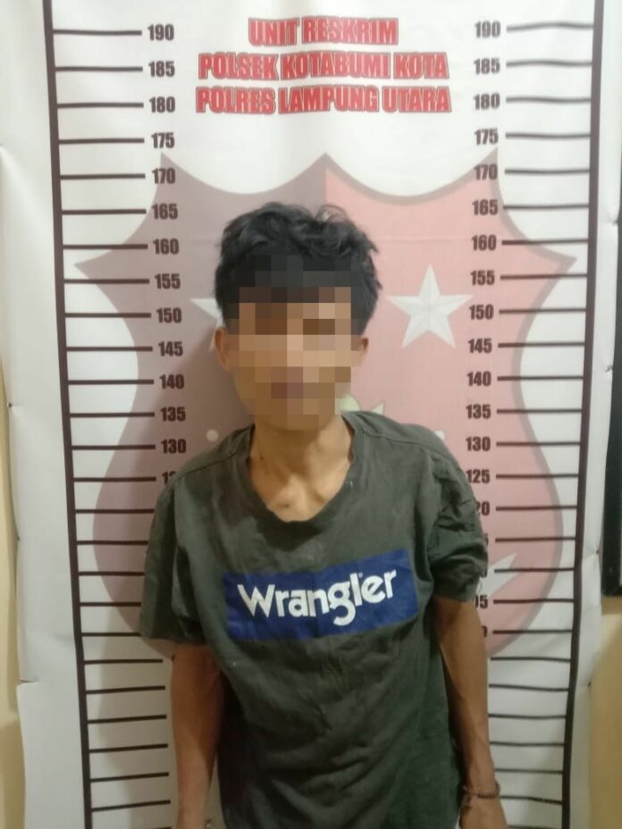 WhatsApp Image 2023-12-12 at 14.01.34