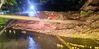 Setelah Hujan Deras, Tanah Longsor Dan pohon Tumbang Di Pesisir Barat Lampung