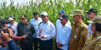 Mentan Andi Dan Wamenhan Tinjau Kegiatan Food Estate Di Gunung Mas