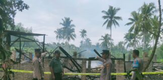 Kandang Ayam Di Sukoharjo Terbakar, Korban Rugi Ratusan Juta