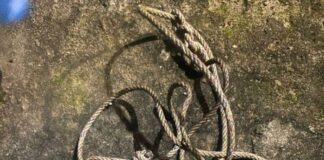 Warga Tubaba Digegerkan Dengan Penemuan Seorang Pria Yang Diduga Bunuh Diri