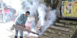 Sebanyak 27 Kasus DBD Di Lampung Selatan Selama Januari – Febuari