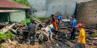 Rumah Beserta Gerobak Pedagang Buah Di Pringsewu Hangus Terbakar