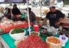 Harga Cabai Di Metro Melonjak Hingga Tembus Rp 90 Ribu Per Kg