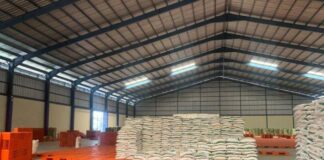 Produksi Gabah di Lampung Bisa Mencapai 1,29 Juta Ton