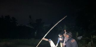 Geger, Seorang Petani Di Pringsewu Ditemukan Tewas Tenggelam Di Kolam Ikan