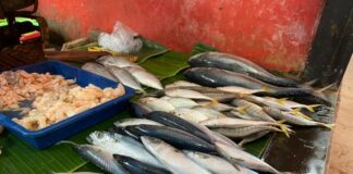 Pastikan Keamanan Pangan Di Bulan Ramadhan, DKP Lampung Temukan Ikan Mengandung Formalin Di Pasar Way Halim