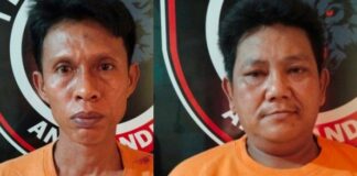 Polisi Berhasil Amankan DPO Kasus Pelaku Curat