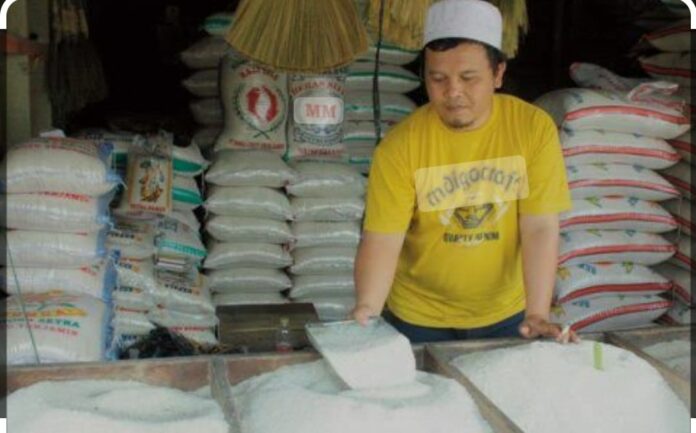 WhatsApp Image 2024-03-01 at 12.10.53