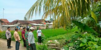 Bocah 3,5 Tahun Di Pringsewu Ditemukan Tewas Hanyut Di Sungai